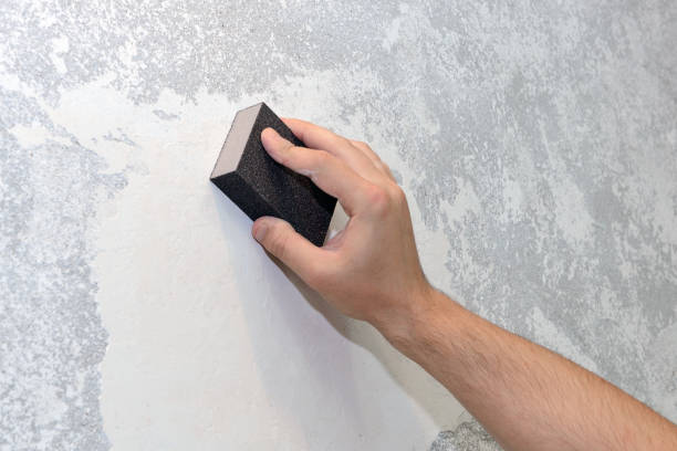 Best Mold Removal for HVAC Installations  in Hden Springs, ID