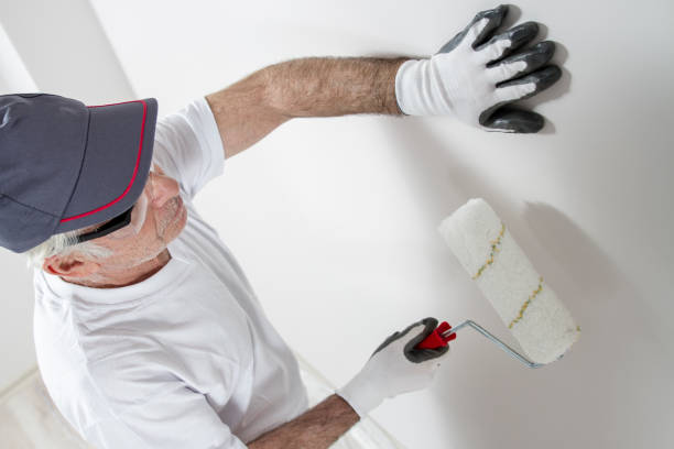 Professional Mold Removal in Hidden Springs, ID
