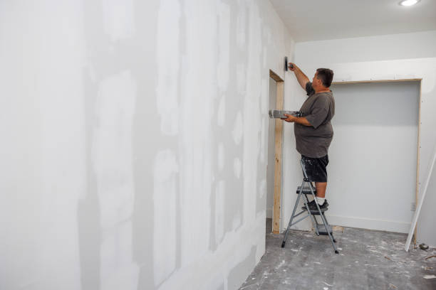 Best Asbestos and Lead Testing During Mold Inspection  in Hden Springs, ID
