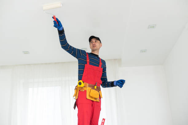 Best Attic Mold Removal  in Hden Springs, ID