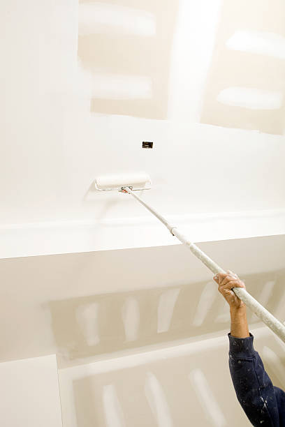 Best Biohazard Mold Removal  in Hden Springs, ID