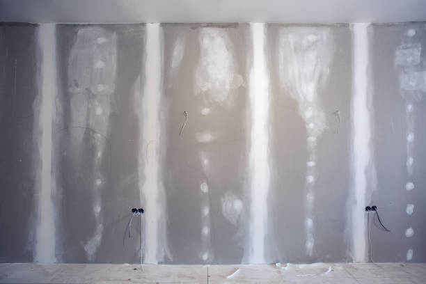 Best Environmental Consulting for Mold Prevention  in Hden Springs, ID